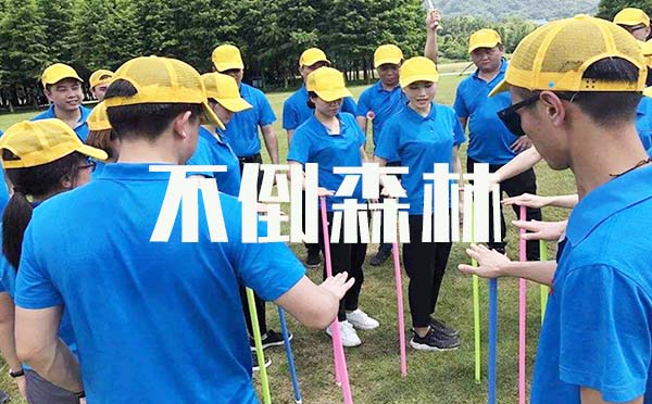 秦皇岛不倒森林
